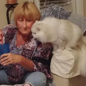 Meet your Posher, Angie